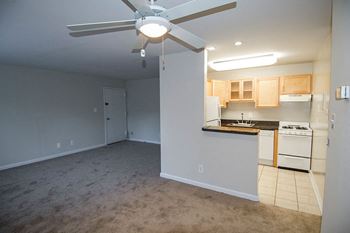 Clermont Apartments Fully Equipped Kitchens